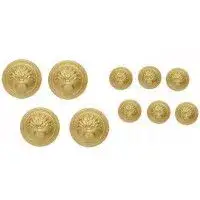 Boutons de vareuse officier