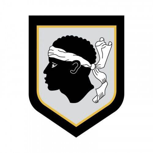 Ecusson de Bras Brode Gendarmerie Departementale Corse