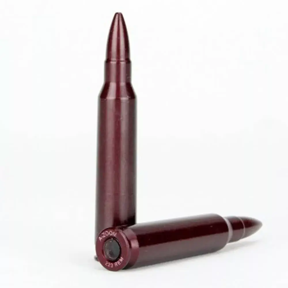 Munition d'instruction 223 REM. x 2