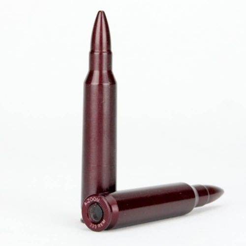 Munition d'instruction 223 REM. x 2