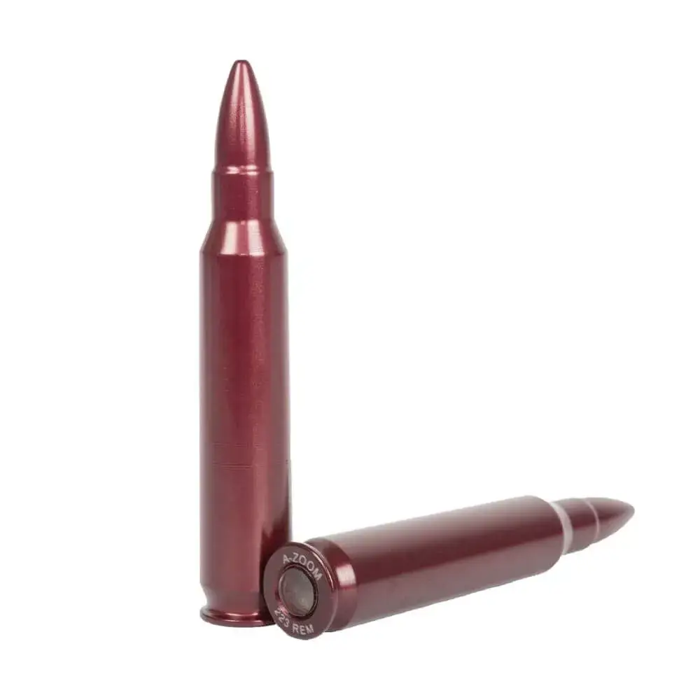 Munition d'instruction 5.56 PAR 2