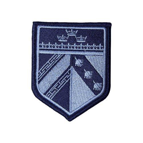 Ecusson de bras brode Alsace Champagne-Ardenne Lorraine basse visibilite bleu