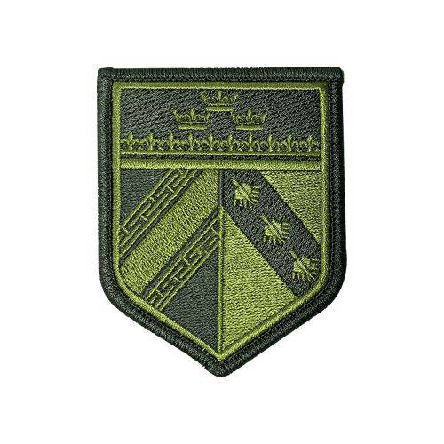 Ecusson de bras brode Alsace Champagne-Ardenne Lorraine basse visibilite vert