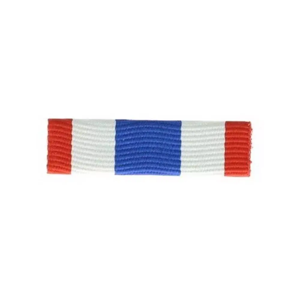 Barrette dixmude Protection militaire du territoire