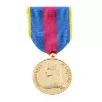 Medaille ordonnance Reserviste de la Defense et de la Securite Interieure Or
