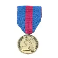 Medaille ordonnance Reserviste de la Defense et de la Securite Interieure Bronze