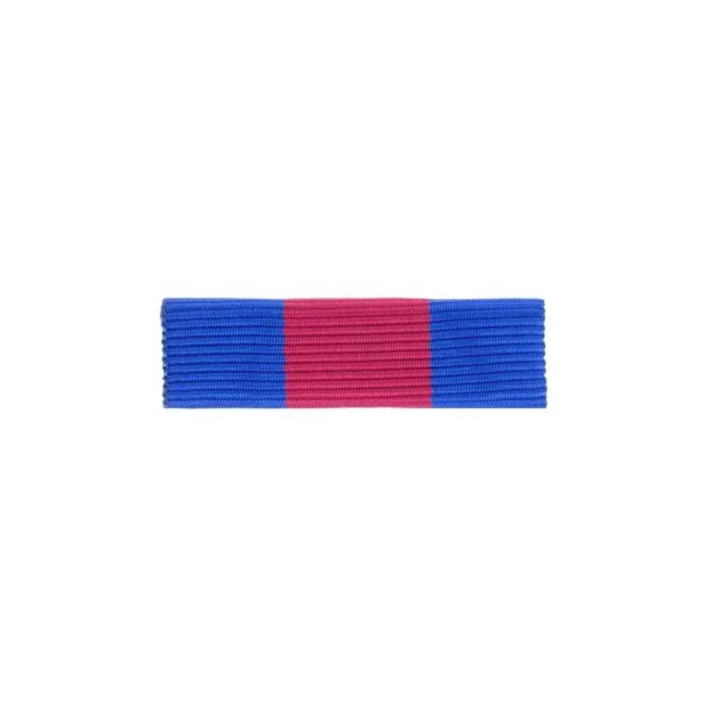 Barrette dixmude SMV et Reserviste de la Defense et de la securite interieure 