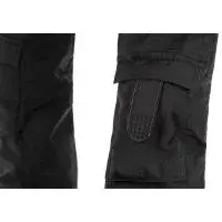 Pantalon tactique Raider MK V ATS wolf grey - Clawgear