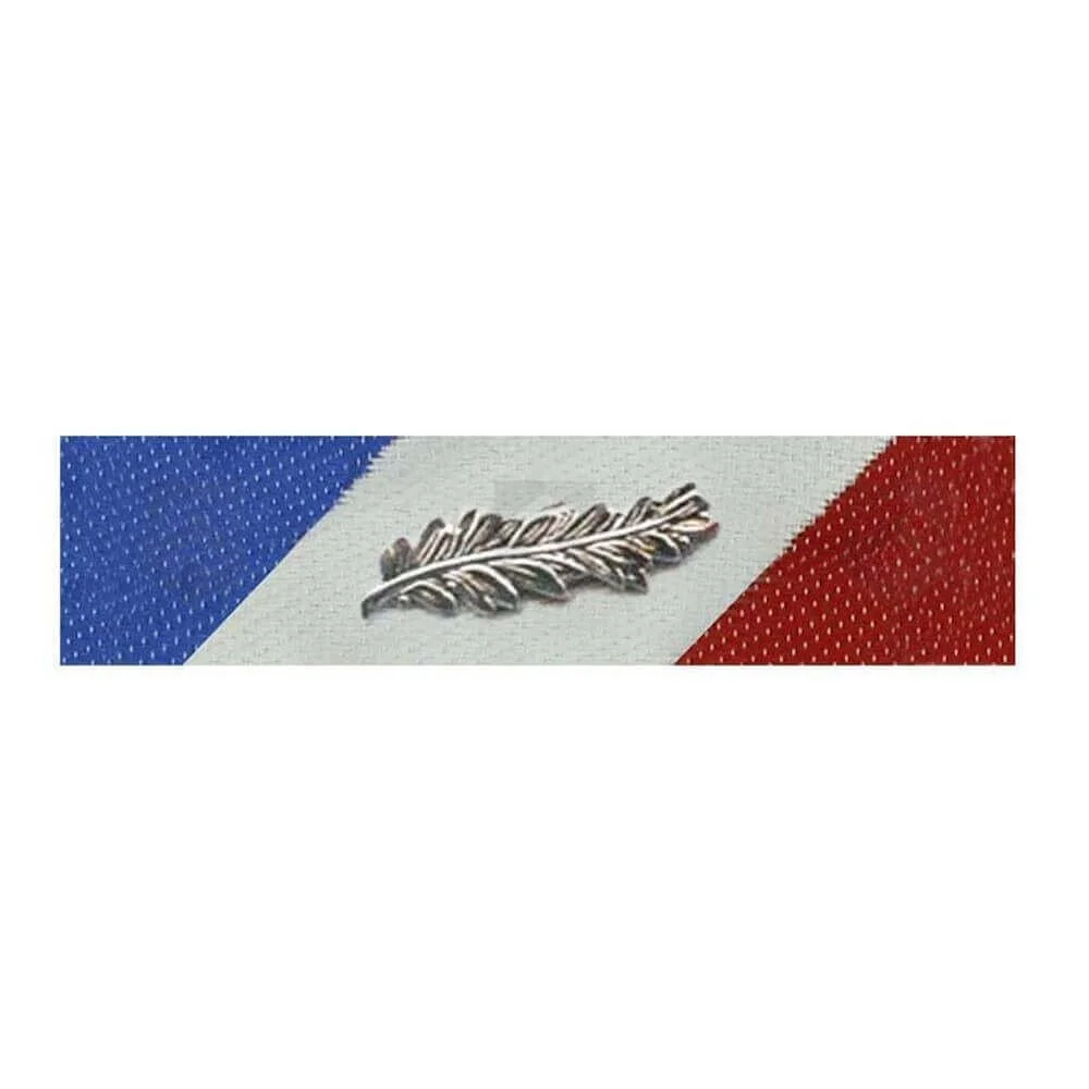 Barrette dixmude MSI Argent